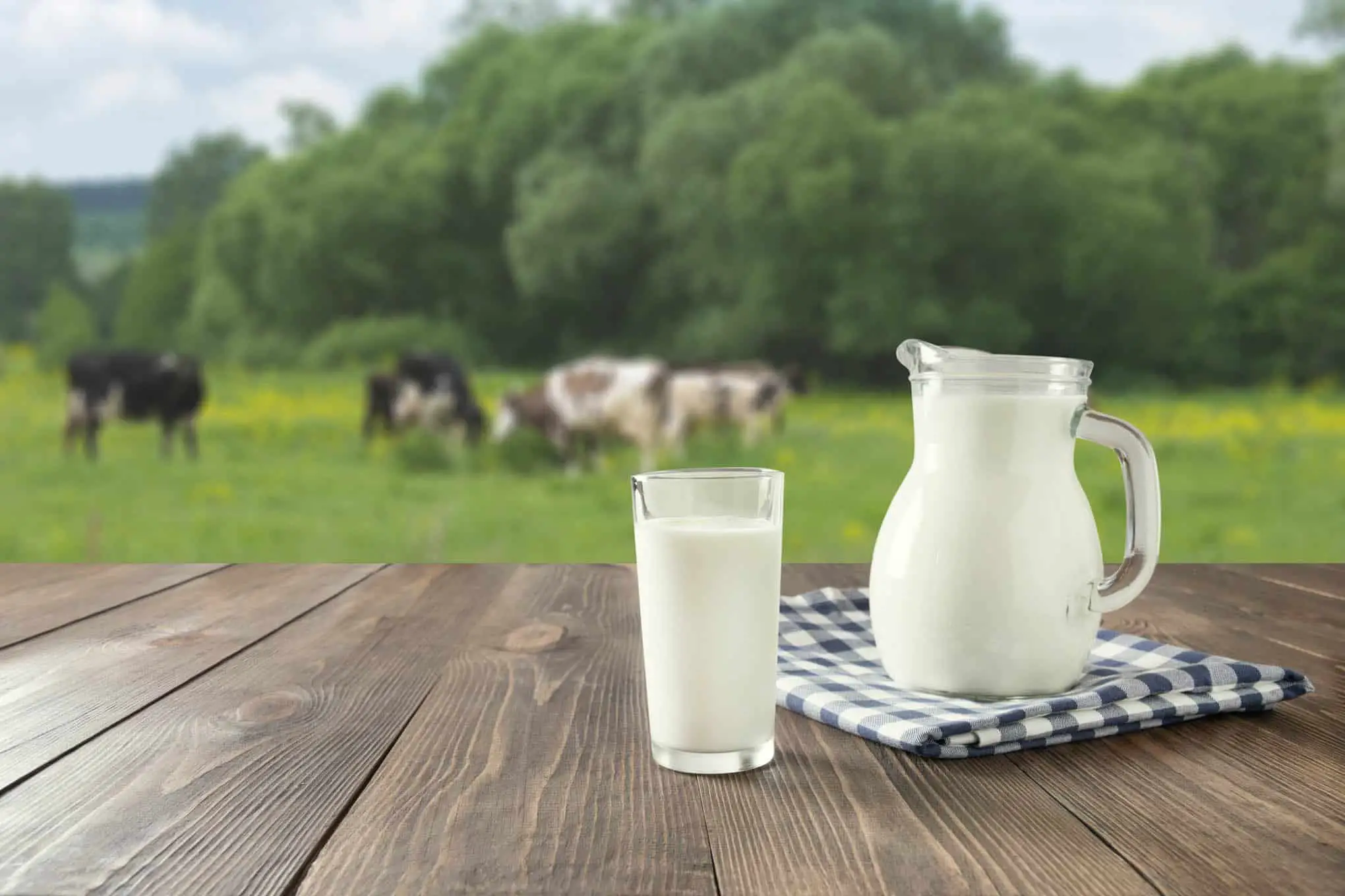 Enthält Milch Histamin? | histaminarme Ernährung bei Histaminintoleranz